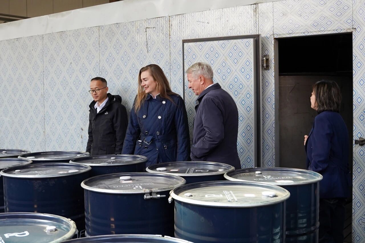 BG大游·(集团)视讯官方网站