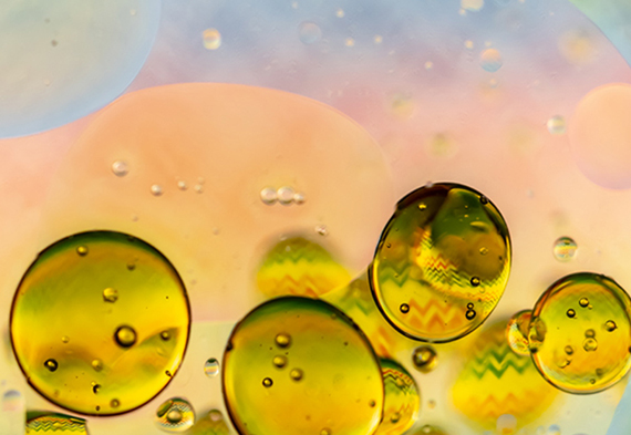 BG大游·(集团)视讯官方网站